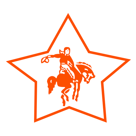 Camp Stewart for Boys logo