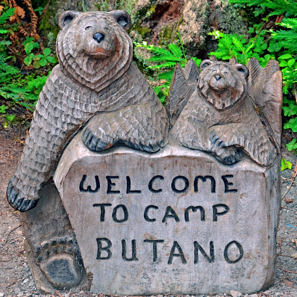 Butano Creek Girl Scout Camp logo