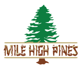 Future Leaders of America at Camp Mile High Pines logo