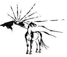 Hidden Valley Equestrian Center, Inc. logo