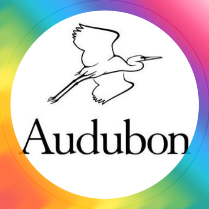 Sharon Audubon Summer Nature Programs logo