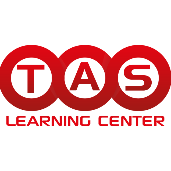 Theory of Art & Sciences logo