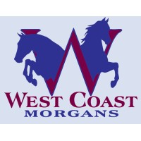 West Coast Morgans  logo