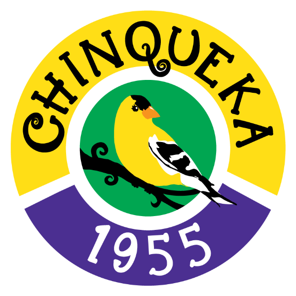 Awosting Chinqueka logo