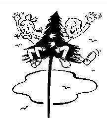 Camp Evergreen logo