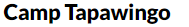 Camp Tapawingo logo