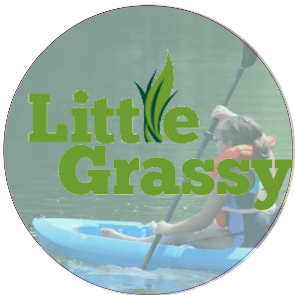 Little Grassy United Methodist logo