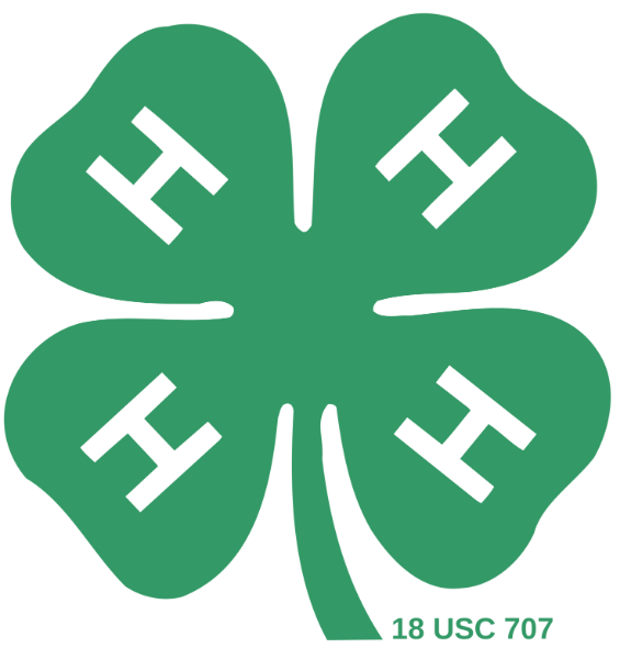New London County 4-H Camp logo