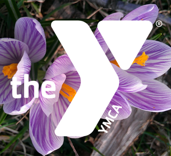 YMCA Storer Camps logo