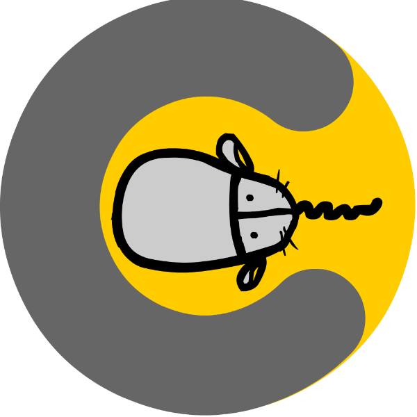 Computerwisekids Inc. logo