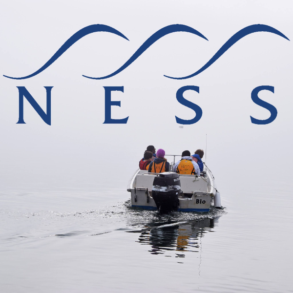New England Science & Sailing Foundation logo