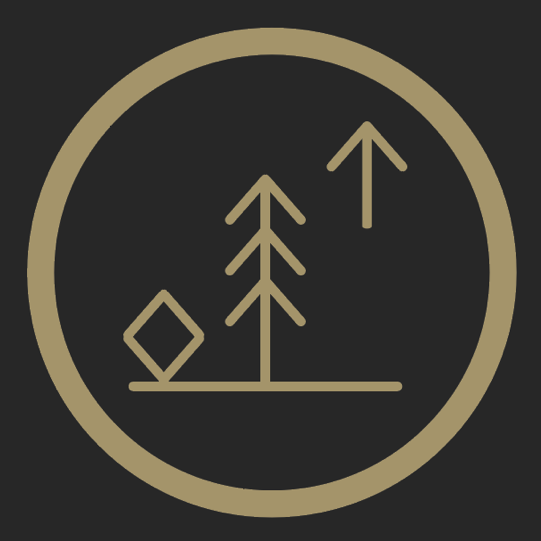Rock Tree Sky logo