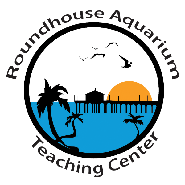 Roundhouse Aquarium Teaching Center logo
