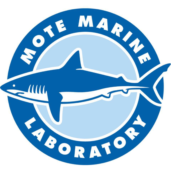Shark Pups and Grownups at Mote logo