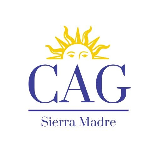Creative Arts Group logo