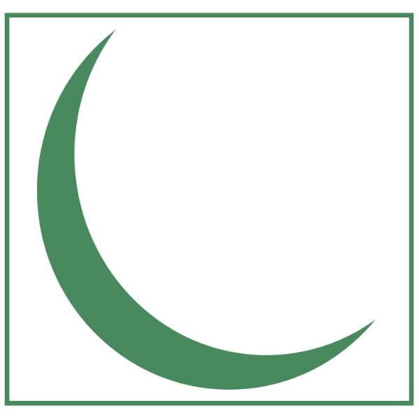 Green Moon Children's Art Studio logo
