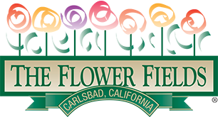 The Flower Fields logo