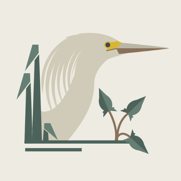 Museum of American Bird Art at Mass Audubon logo