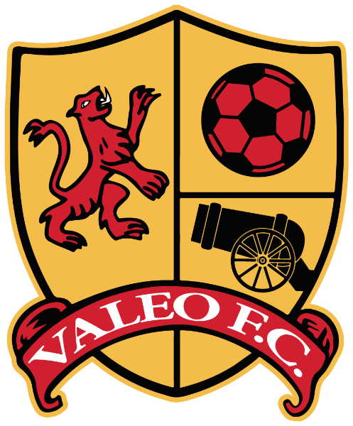 Valeo Futbol Academy logo