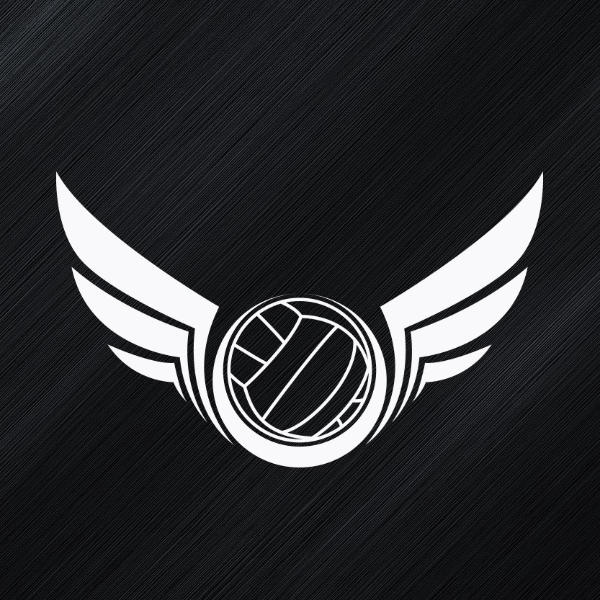 Top Flight Volleyball Club LLC logo