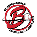 Bloomingdale Youth Sports Association logo
