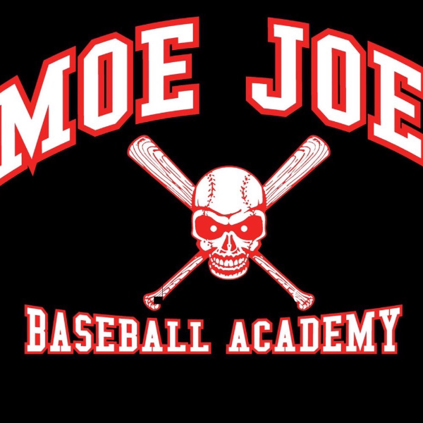 Moe Joe Baseball Academy logo