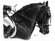 Integrity Equestrian Center logo