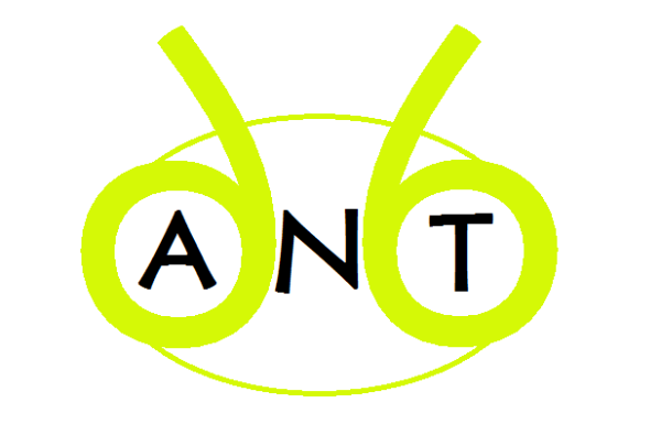 Alex Nguyen Tennis logo