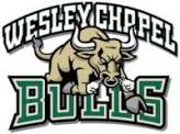 Wesley Chapel Bulls logo