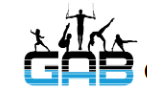Gymnastic Academy of Boston at Norwood logo