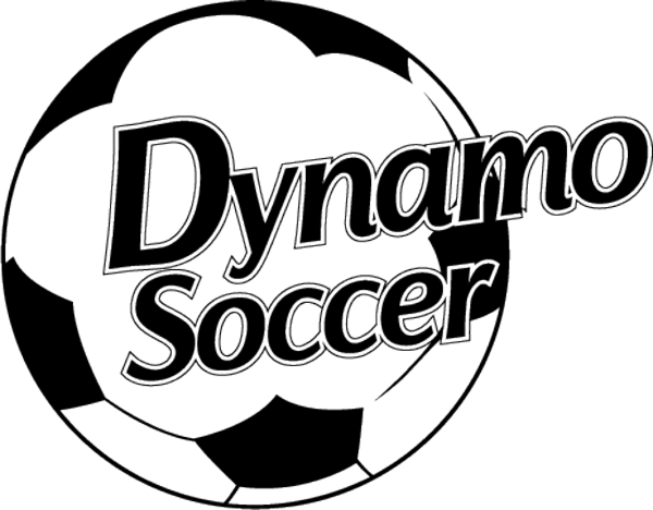 Dynamo Soccer Bourbonnais Illinois logo