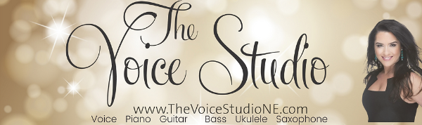 The Voice Studio logo
