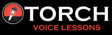 Torch Light Music School logo