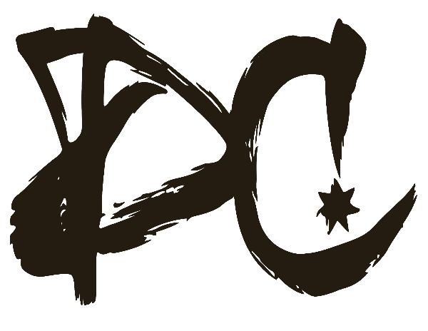 The Dance Connection logo