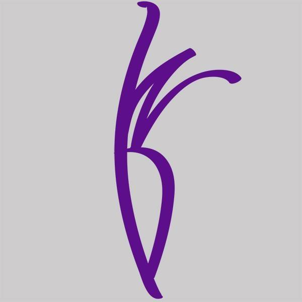 Wilhelm Dance logo
