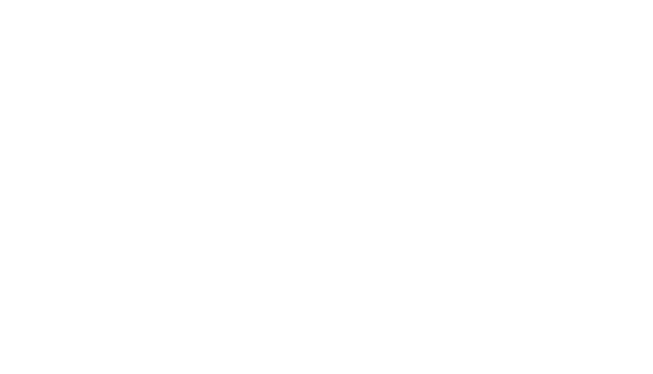 Allegro Dance Academy logo