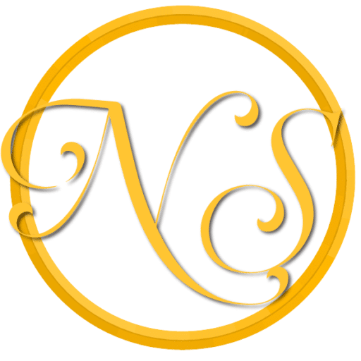 Dance Studio NS DANCING logo