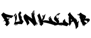 Funk Lab Dance Center logo