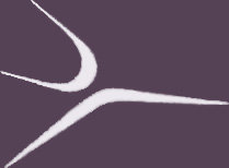 InMotion Dance Academy logo