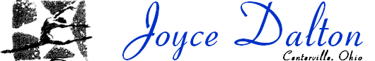 Joyce Dalton Baton & Dance Studio logo