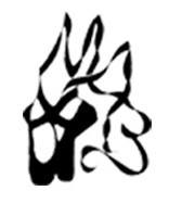 Massachusetts Academy of Ballet logo