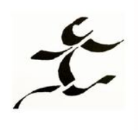 The Dance Shop logo