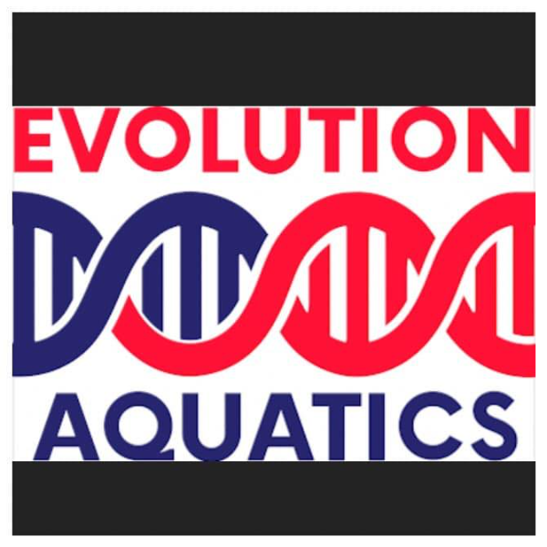 NOMAD Aquatics & Fitness logo