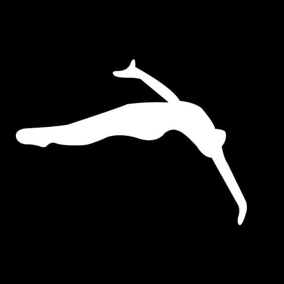 Desert Swim Academy logo
