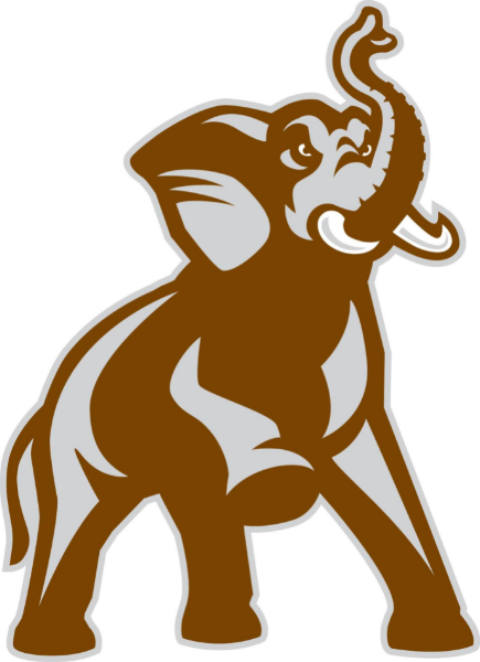 Swimming Lessons at Tufts University logo