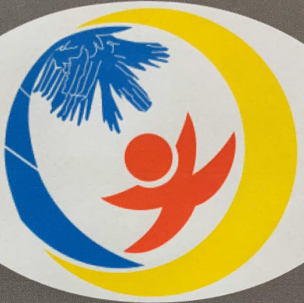Palmetto Gymnastics Academy logo