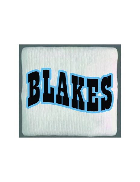 Blake's Gymnastics Training Academy logo