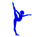 Silk City Gymnastics & Dance logo