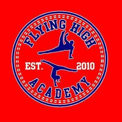 Flying High Academy Of Mooresville logo