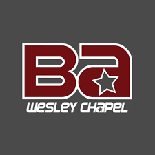 Brandon Allstars - Wesley Chapel logo